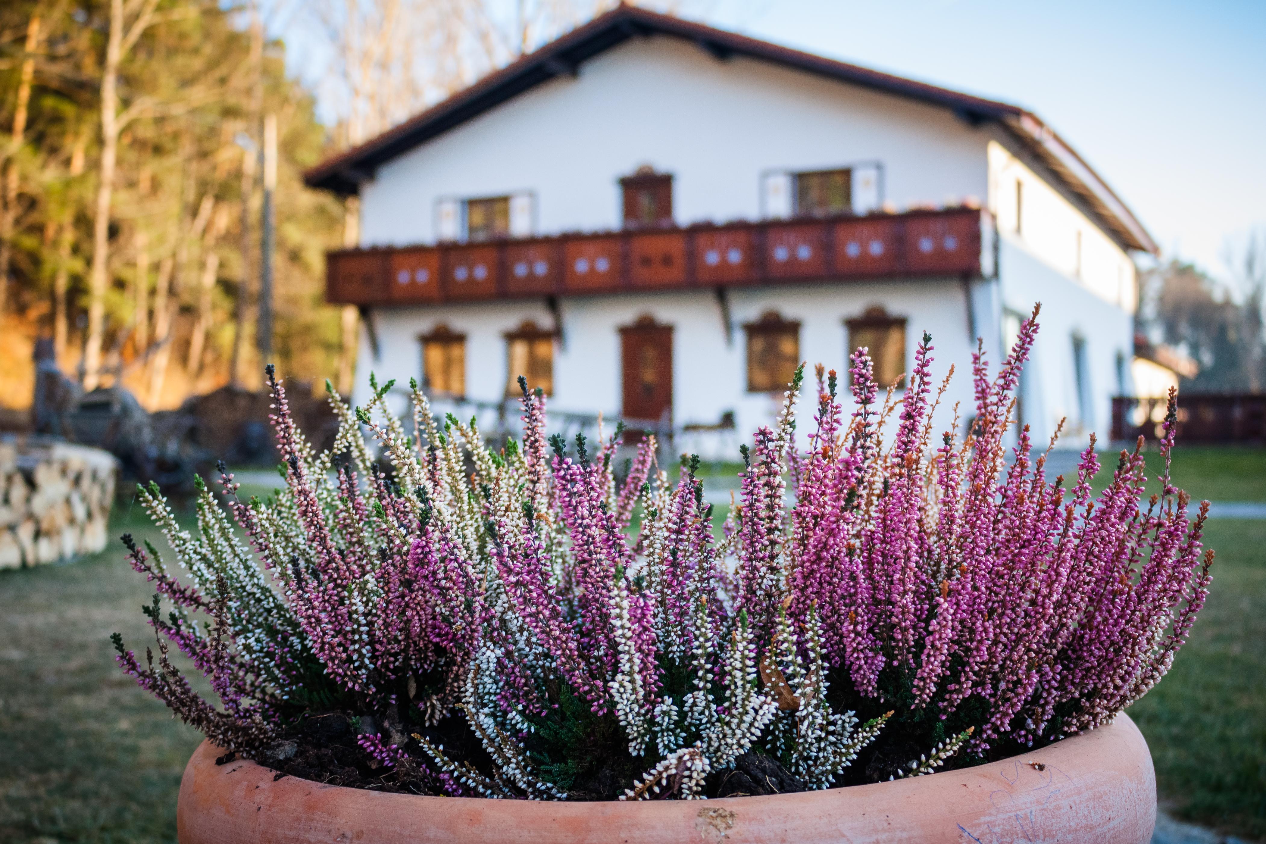 Hotel Wolkendorf Bio & 4*